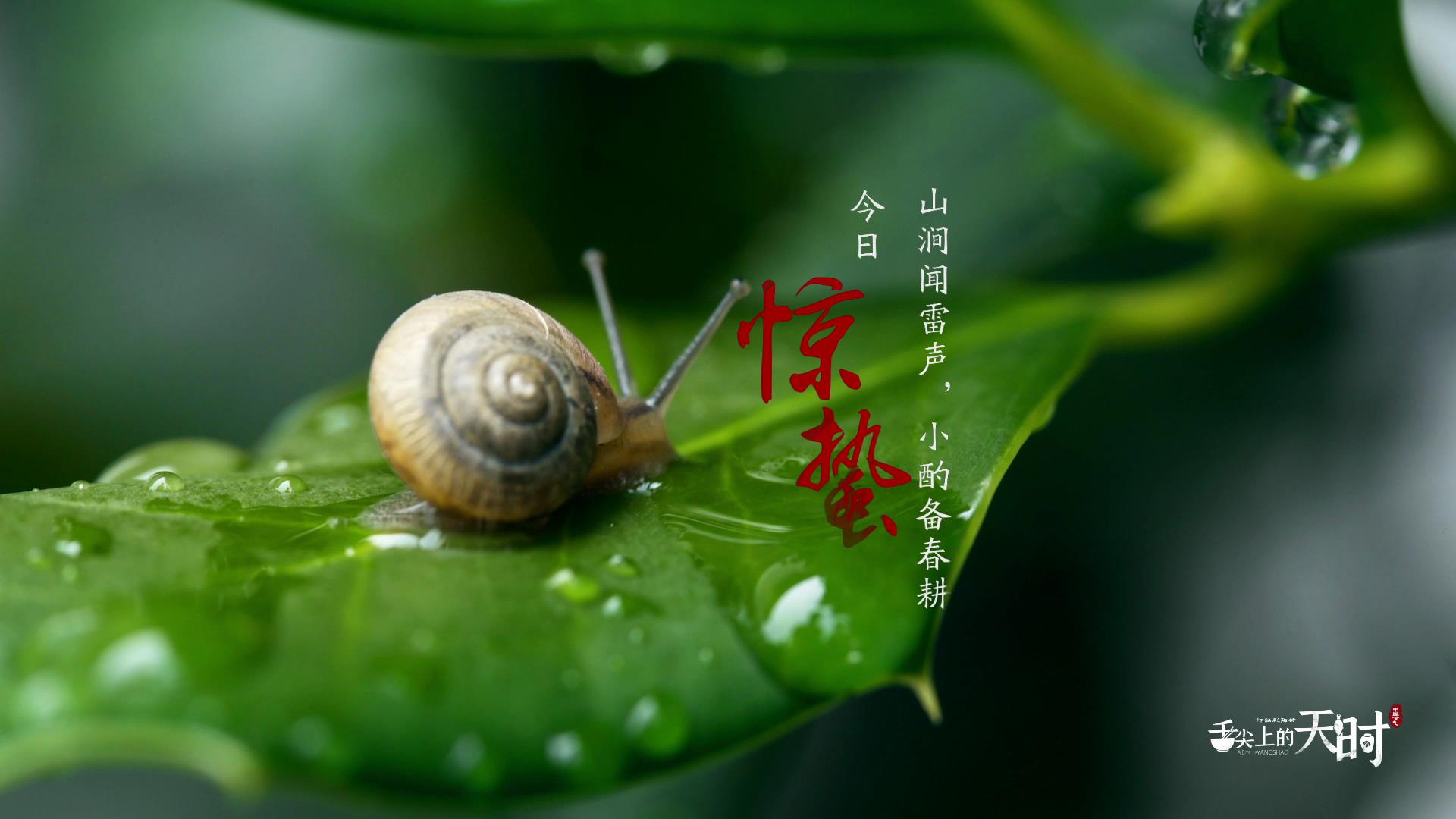 &#20339;&#21338;&#23448;&#26041;&#32593;&#39029;&#29256;&#45;&#20339;&#21338;&#65288;&#20013;&#22269;&#65289;